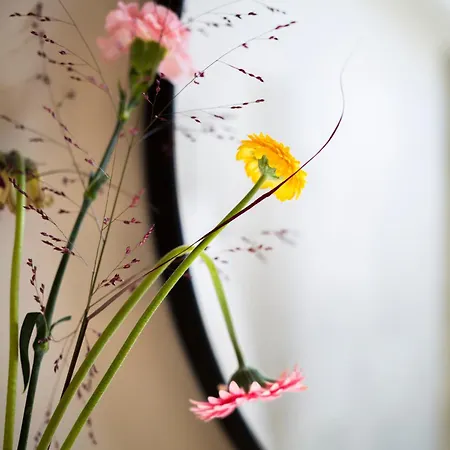 Maison La Grande Ourse Villa